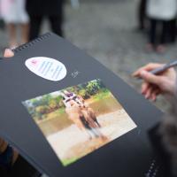deboer-fotografie.com